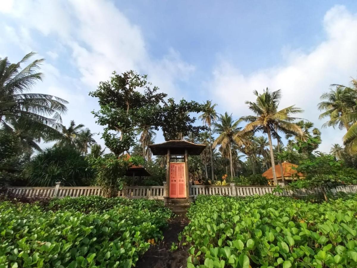 Bali North Beach B&B 提安亚尔 外观 照片